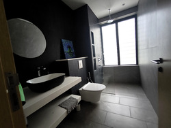Seletar Hills Estate (D28), Semi-Detached #439249141